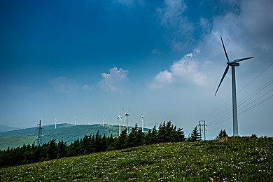 《怪物猎人：荒野》美国超一半收入来自Steam